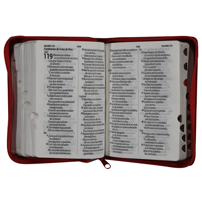 Biblia RVR1960 chica im piel roja 11P RVR046cLGPJRZTI