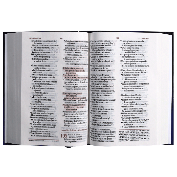 Biblia RVR1960 Fuente de Bendiciones chica tapa dura azul 9pt RVR043cLMFB