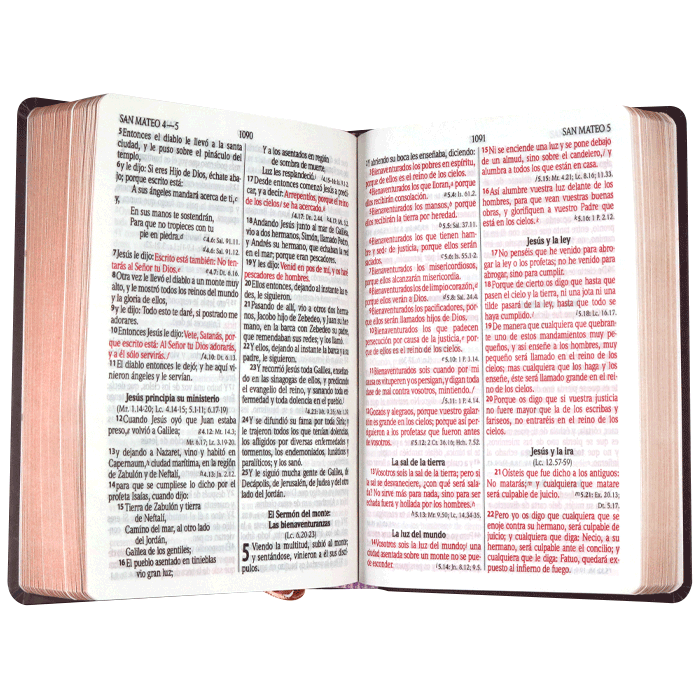 Biblia RVR1960 mediana lt gigante tapa dura rosas 13pt RVR063cLGPJR