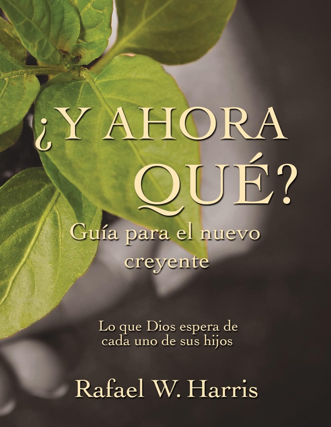 ¿Y ahora qué?