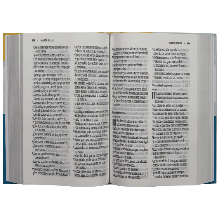 Biblia RVC manual colores t dura 14pt RVC.63cLGiPJR - Image 3