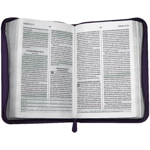 Biblia RVR1960 estudio promesas morado RVR45cZEELM - Image 5