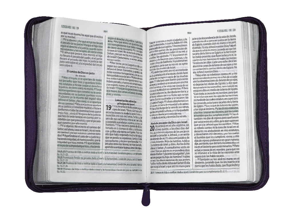 Biblia RVR1960 estudio promesas morado RVR45cZEELM - Image 5