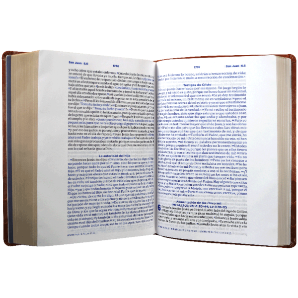 Biblia RVC pastoral ceremonias y sermones marron im piel GR - Image 2