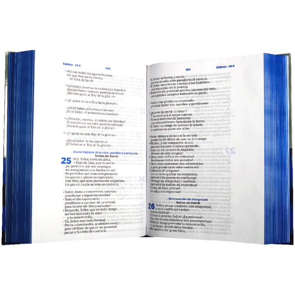 Biblia RVC pastoral ceremonias y sermones azul-gris RVC083cletra grandePJR - Image 2