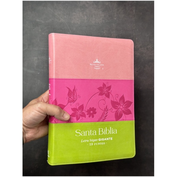 Biblia RVR1960 Tricolor sup gig rosa fucsia verde im piel cierre índice 19pt