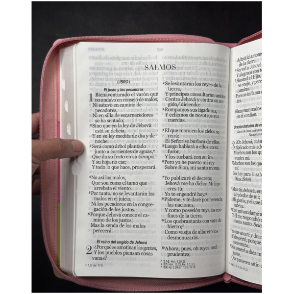 Biblia RVR1960 Tricolor sup gig rosa fucsia verde im piel cierre índice 19pt - Image 4
