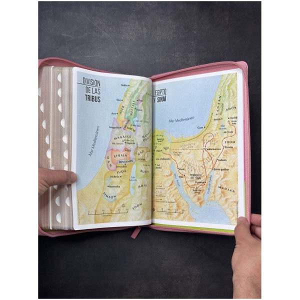 Biblia RVR1960 Tricolor sup gig rosa fucsia verde im piel cierre índice 19pt - Image 8