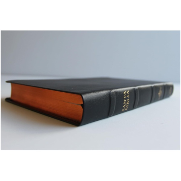 Biblia RVR1960 piel premier negra l grande manual 10.5pt - Image 3