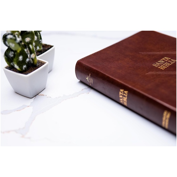 Biblia RVR1960 Letra supergigante cafe im piel índice grande 17pt - Image 3