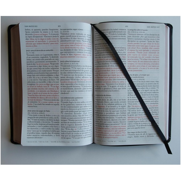 Biblia RVR1960 piel premier negra l grande manual 10.5pt - Image 2