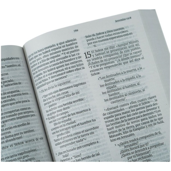 Biblia NVI Manual letra grande multicolor rústica - Image 4
