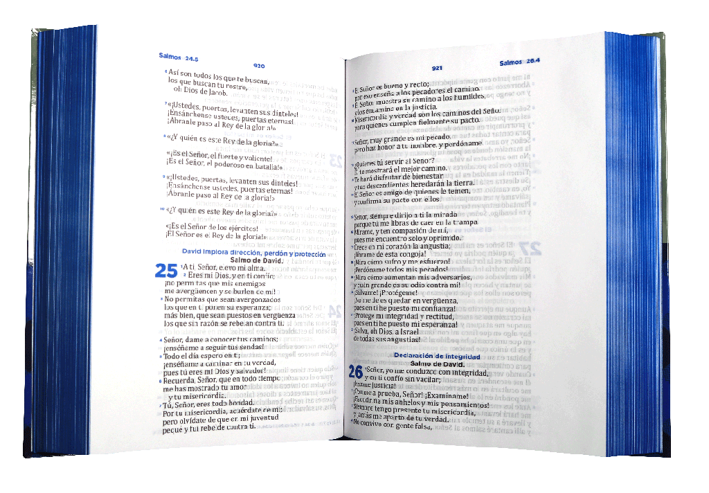 Biblia RVC pastoral ceremonias y sermones azul-gris RVC083cletra grandePJR