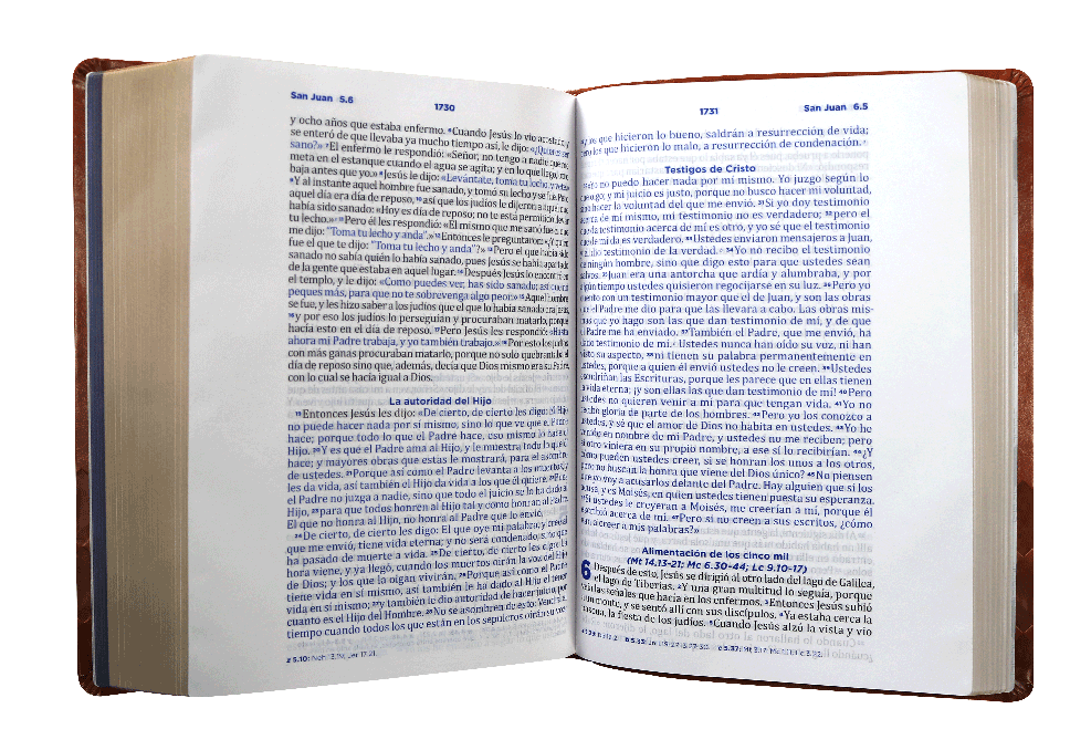 Biblia RVC pastoral ceremonias y sermones marron im piel GR