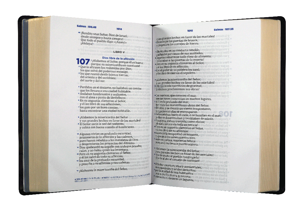 Biblia RVC pastoral ceremonias y sermones negro im piel GR
