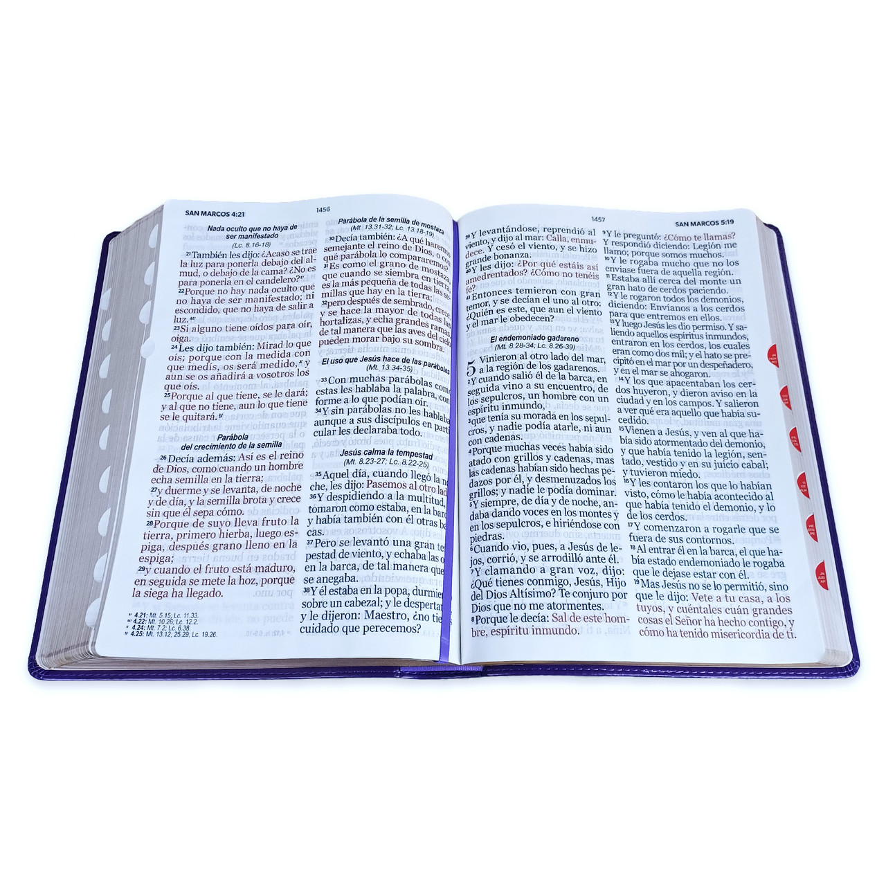 Biblia RVR1960 Clasica sup gig lila im piel índice 19pt