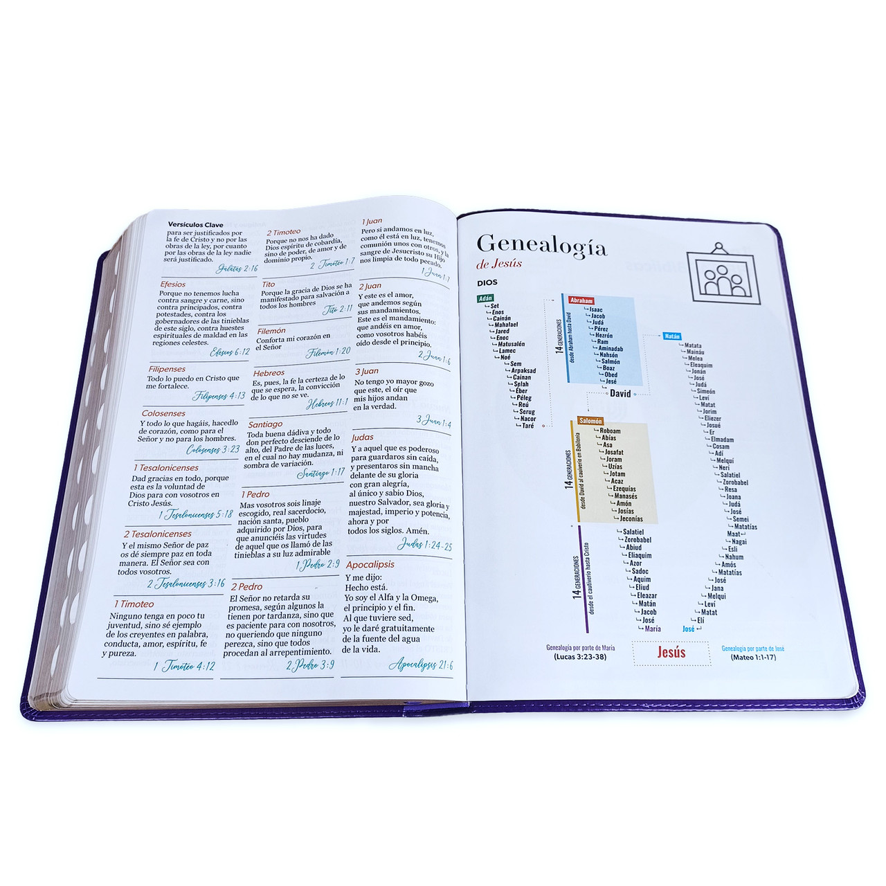 Biblia RVR1960 Clasica sup gig lila im piel índice 19pt