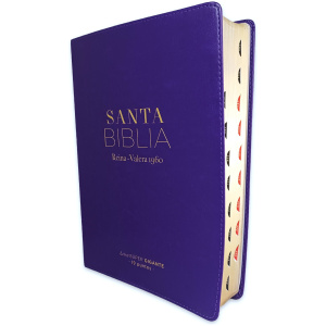Biblia RVR1960 Clasica sup gig lila im piel índice 19pt