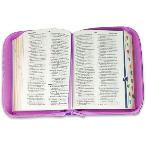 Biblia RVR1960 Mi gran viaje lila im piel cierre índice bolsillo 8.5pt - Image 4
