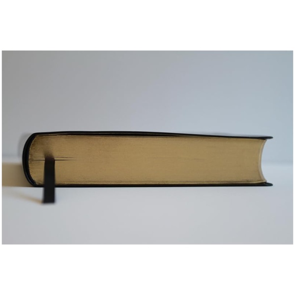 Biblia RVR1960 letra super gigante negro sim piel 17pt - Image 3