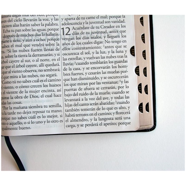 Biblia RVR1960 letra super gigante negro sim piel índice 17pt - Image 2