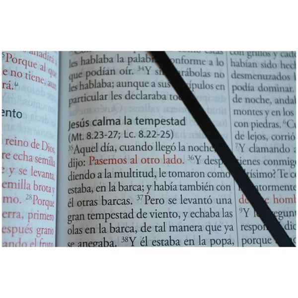 Biblia RVR1960 letra super gigante negro sim piel 17pt - Image 5