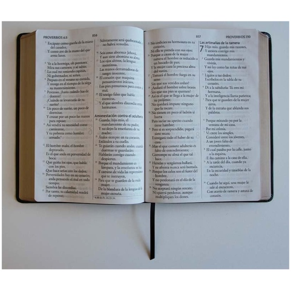 Biblia RVR1960 letra super gigante negro sim piel 17pt - Image 6