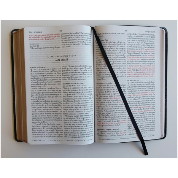 Biblia RVR1960 León de Judá im piel manual 10.5pt - Image 5