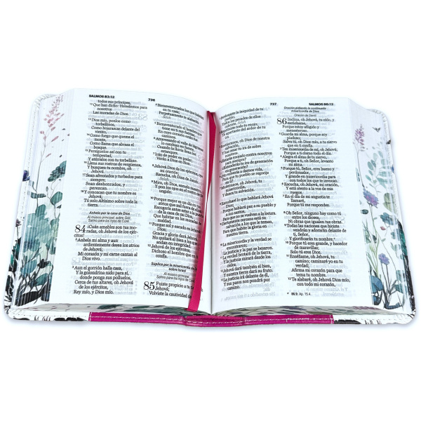 Biblia RVR1960 Renovación fucsia cto pintado im piel bolsillo 8.5pt - Image 3