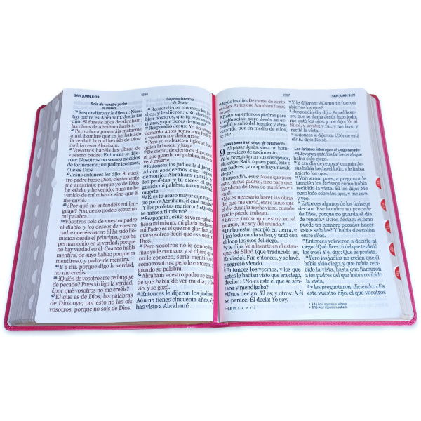 Biblia RVR1960 Clásica súper gigante fucsia im piel índice 19pt - Image 2