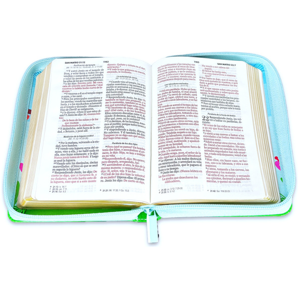 Biblia RVR1960 Primor azul/verde pajaro im piel cierre bolsillo 8.5pt - Image 2