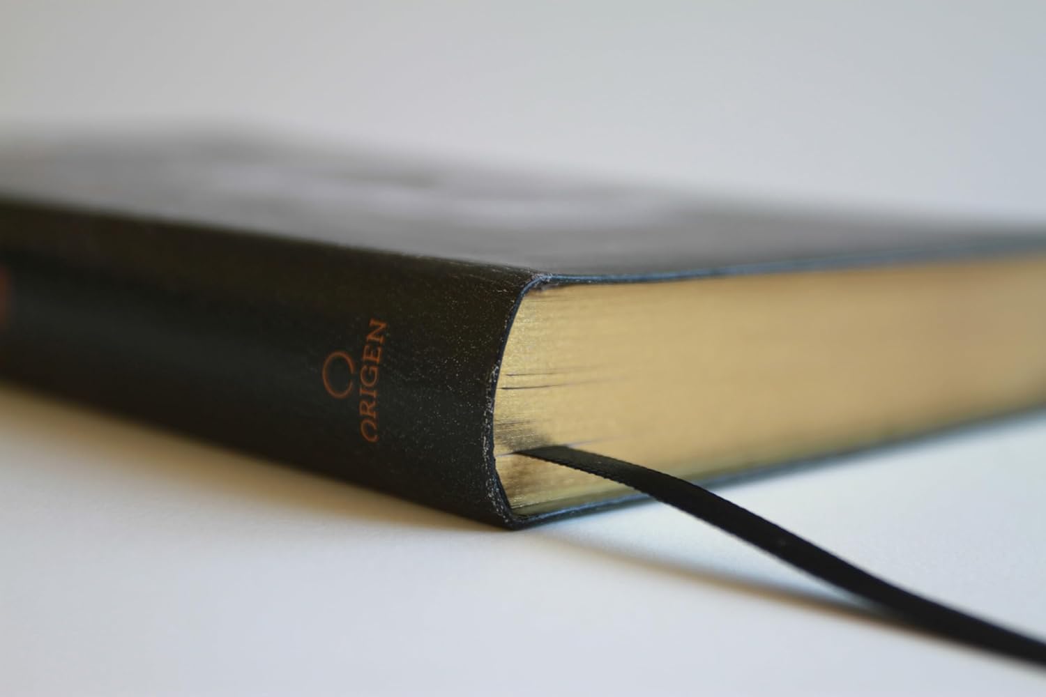 Biblia RVR1960 León de Judá im piel manual 10.5pt