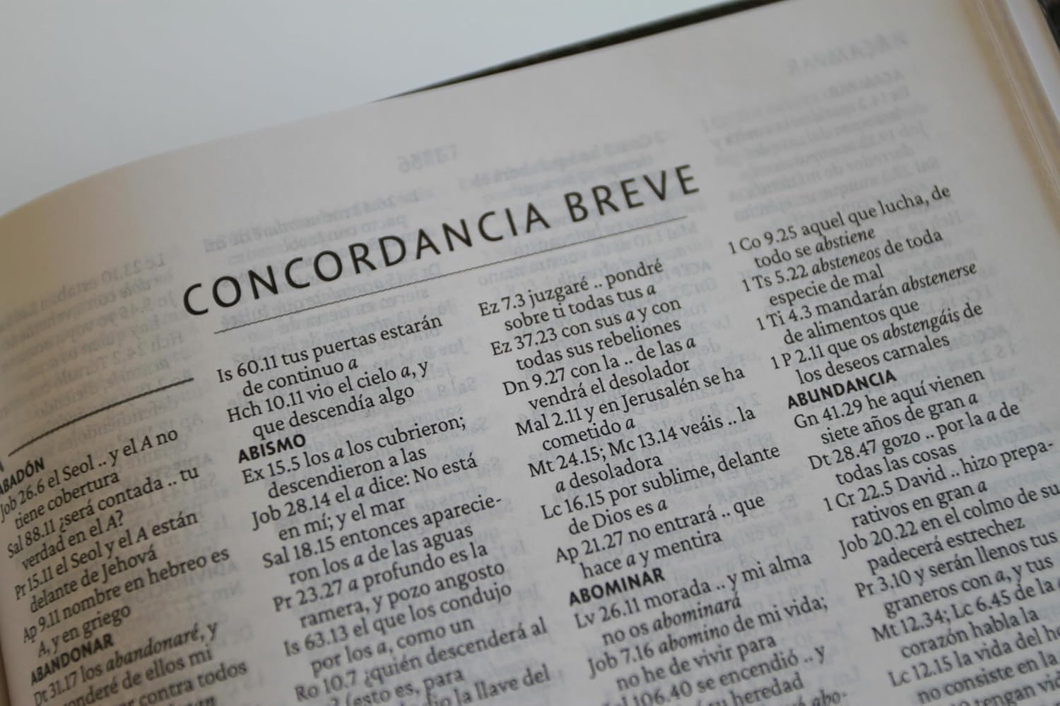 Biblia RVR1960 León de Judá im piel manual 10.5pt