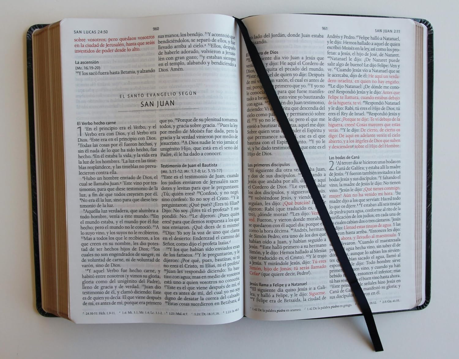Biblia RVR1960 León de Judá im piel manual 10.5pt