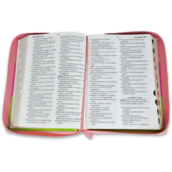 Biblia RVR1960 Tricolor rosa/fucsia/lima im piel cierre índice gigante 15pt 085PRJ - Image 4