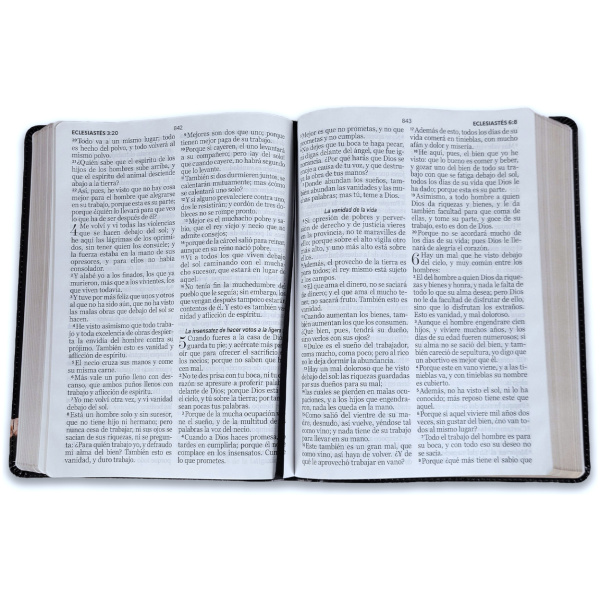 Biblia RVR1960 Esplendor Leon y cordero im piel gigante 15pt 085PRJ - Image 3