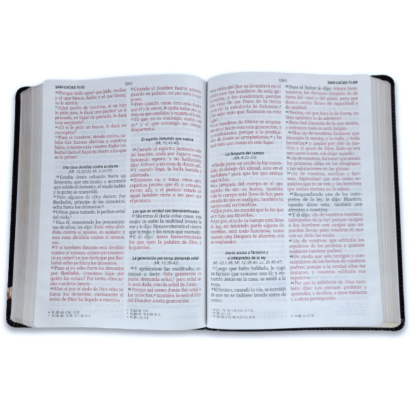 Biblia RVR1960 Esplendor Leon y cordero im piel gigante 15pt 085PRJ - Image 2