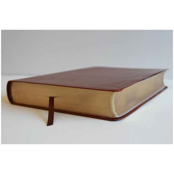 Biblia RVR1960 super gigante marrón simil piel 17pt - Image 3