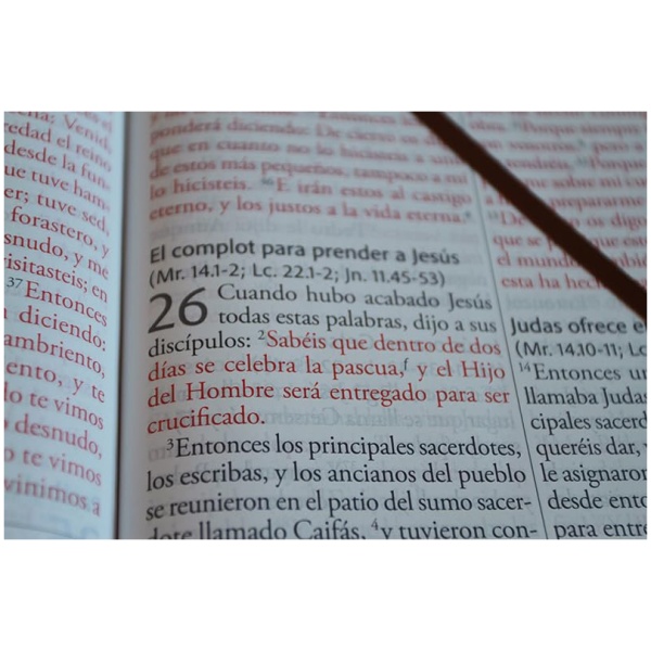Biblia RVR1960 super gigante marrón simil piel 17pt - Image 7