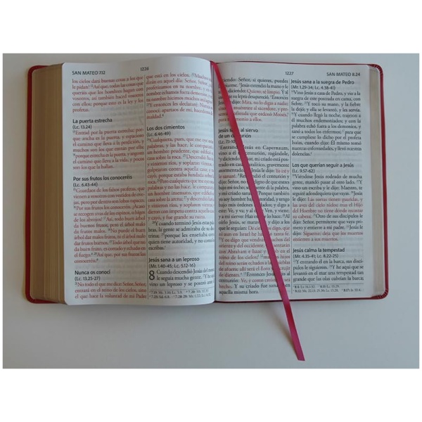 Biblia RVR1960 super gigante fucsia rosa sim pìel 17pt - Image 2