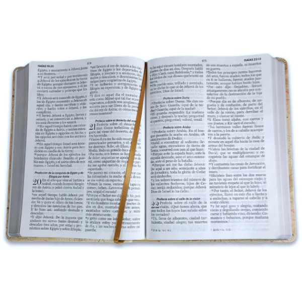 Biblia RVR1960 Esplendor Sabiduria im piel gigante 15pt 085PRJ - Image 3