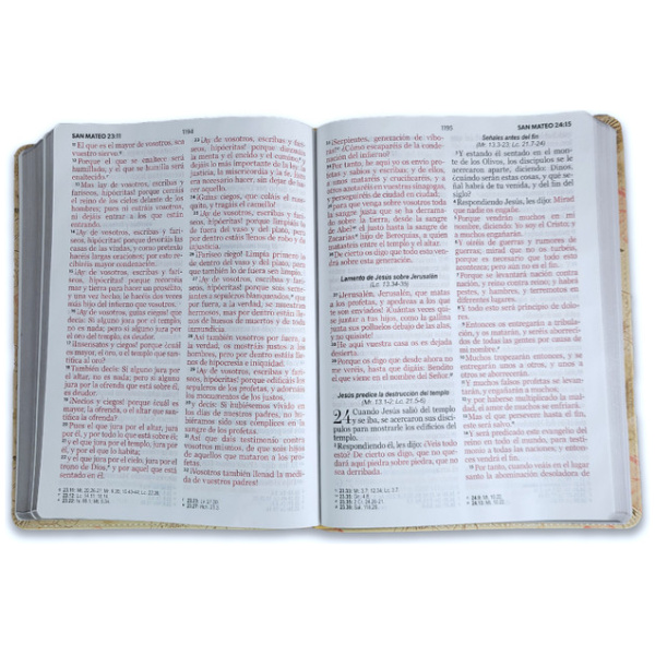 Biblia RVR1960 Esplendor Sabiduria im piel gigante 15pt 085PRJ - Image 2