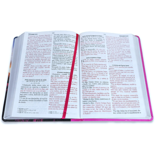 Biblia RVR1960 Esplendor Arbol im piel gigante 15pt 085PRJ - Image 2
