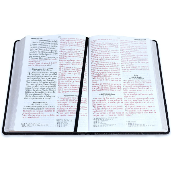 Biblia RVR1960 Esplendor Puerta abierta im piel gigante 15pt 085PRJ - Image 2