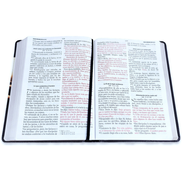 Biblia RVR1960 Esplendor Buen pastor im piel gigante 15pt 085PRJ - Image 2