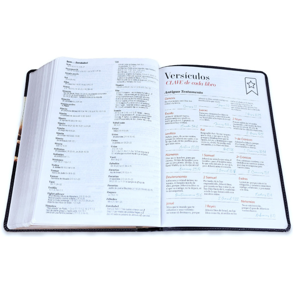 Biblia RVR1960 Esplendor Buen pastor im piel gigante 15pt 085PRJ - Image 3