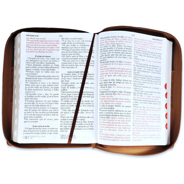Biblia RVR1960 Tricolor marron/cafe oscuro/cafe claro im piel cierre índice gigante 15pt 085PRJ - Image 2