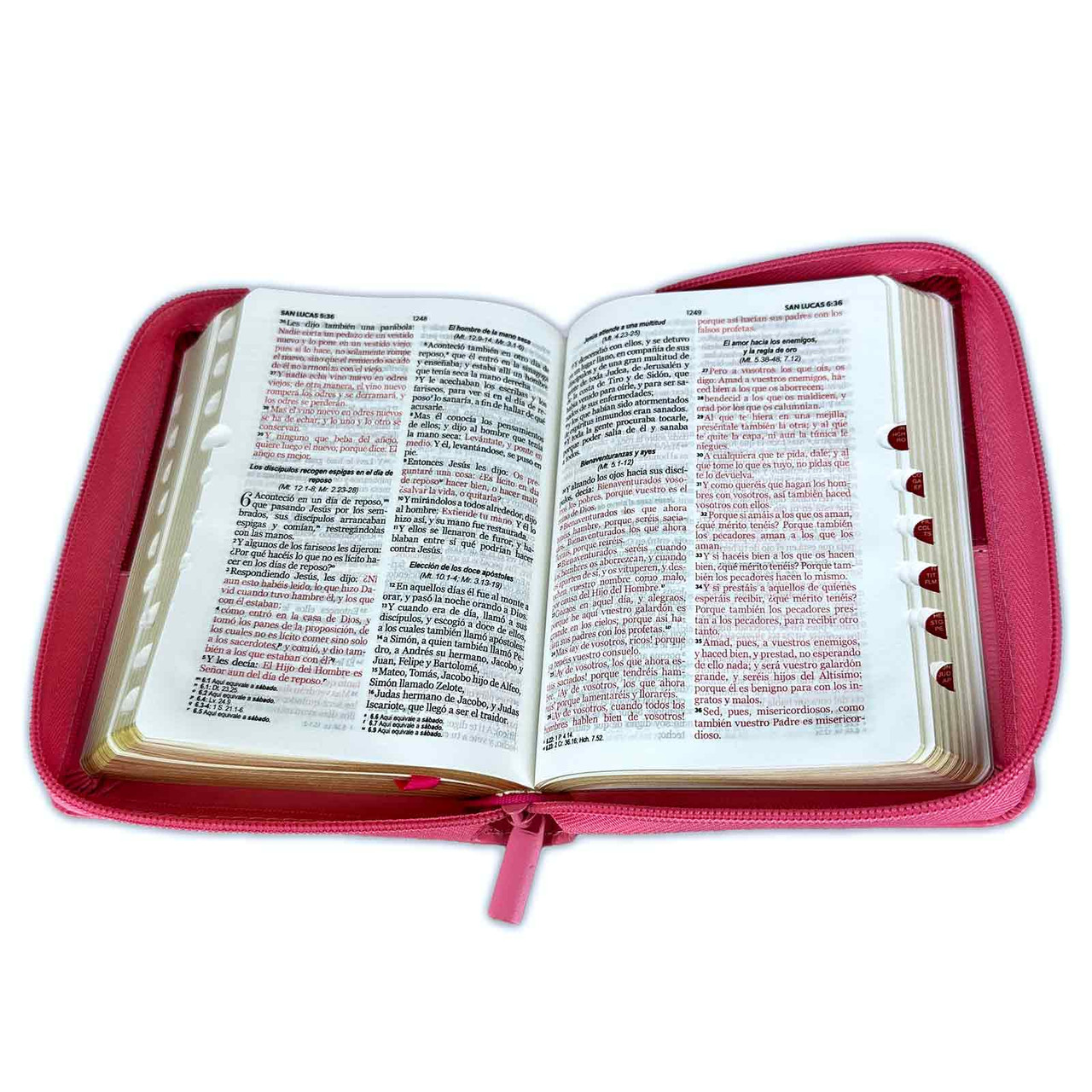 Biblia RVR1960 Bifloral rosa rosa im piel cierre índice bolsillo 8.5pt