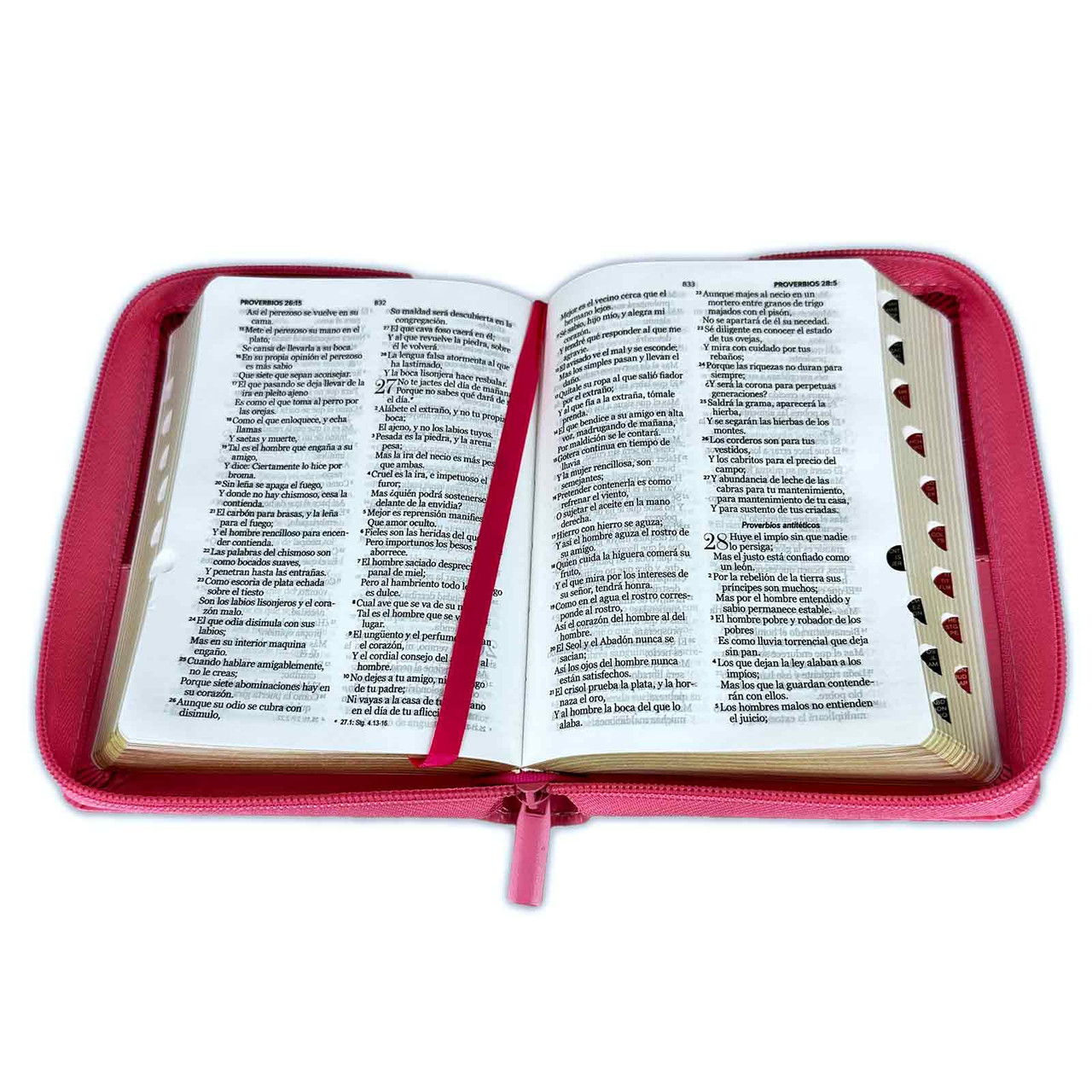 Biblia RVR1960 Bifloral rosa rosa im piel cierre índice bolsillo 8.5pt
