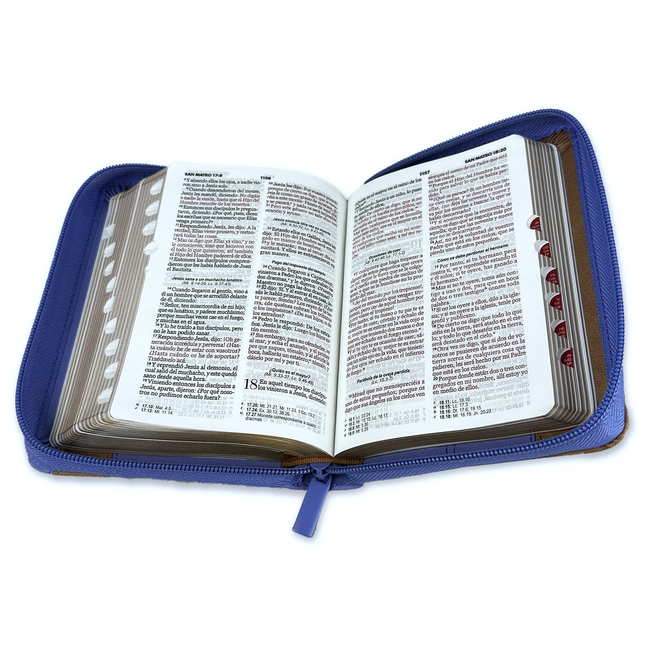 Biblia RVR1960 Elegante lila cafe im piel cierre índice bolsillo 8.5pt